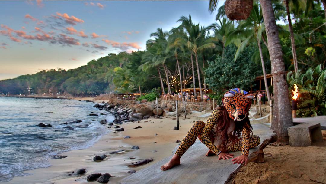 Rhythms of the Night